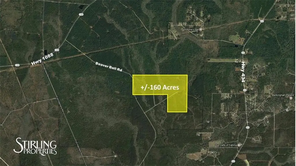 Beaver Ball Road, Lacombe, LA 70445 - #1