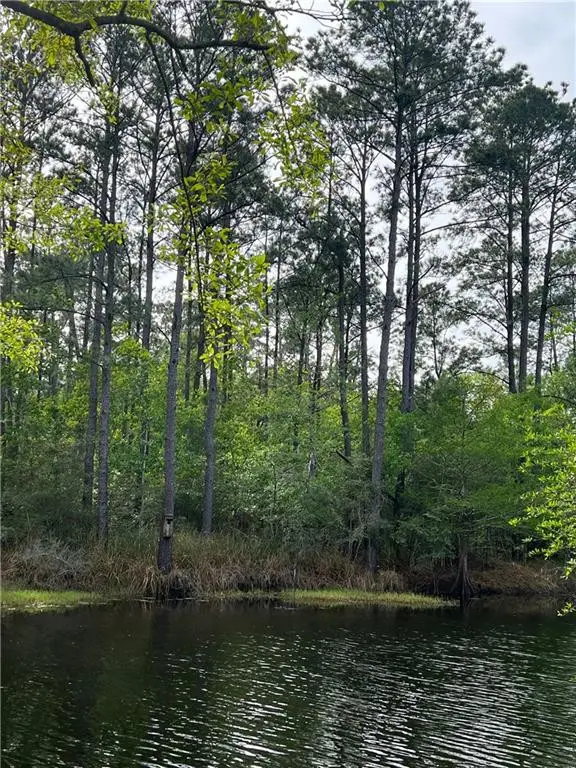 Maria Drive, Lacombe, LA 70445 - #2