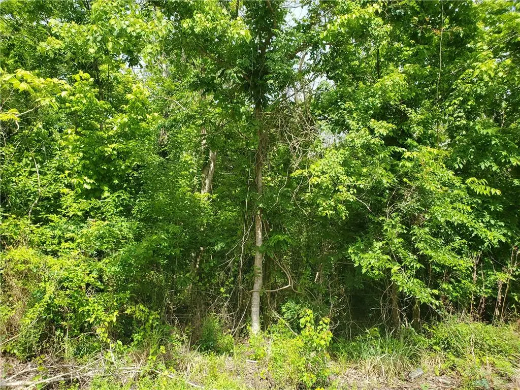 10850 Willow Drive, New Orleans, LA 70131 - #1