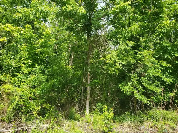 10850 Willow Drive, New Orleans, LA 70131