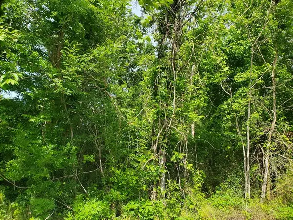 10860 Willow Drive, New Orleans, LA 70131