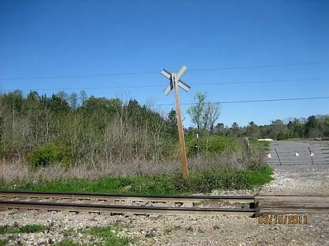 12173 W Hwy 190, Hammond, LA 70401 - #1