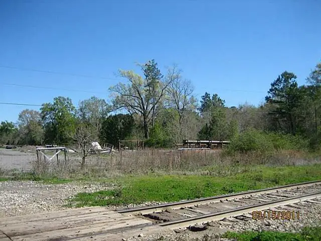 12173 W Hwy 190, Hammond, LA 70401 - #2