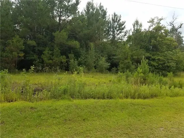 82397 Bush Vineyard Lane, Bush, LA 70431 - #3