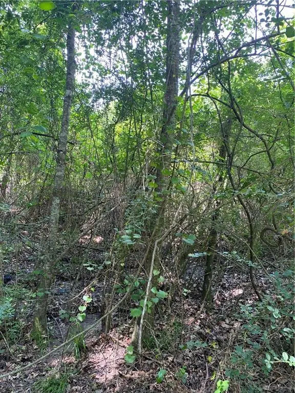 Tbd West Street, Franklinton, LA 70438 - #2