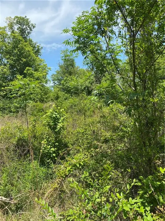 Tbd West Street, Franklinton, LA 70438 - #3