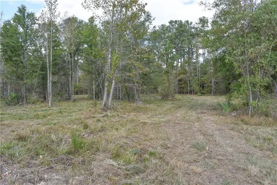 N Range Road, Livingston, LA 70754 - #2