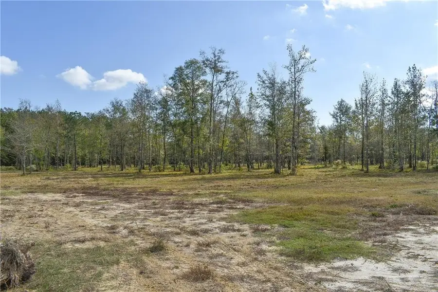 N Range Road, Livingston, LA 70754 - #2
