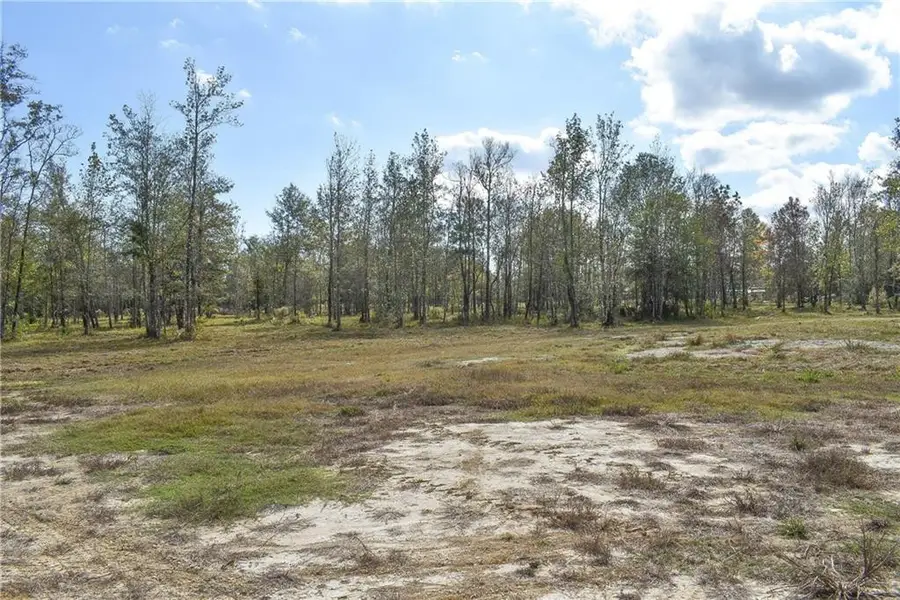 N Range Road, Livingston, LA 70754 - #3