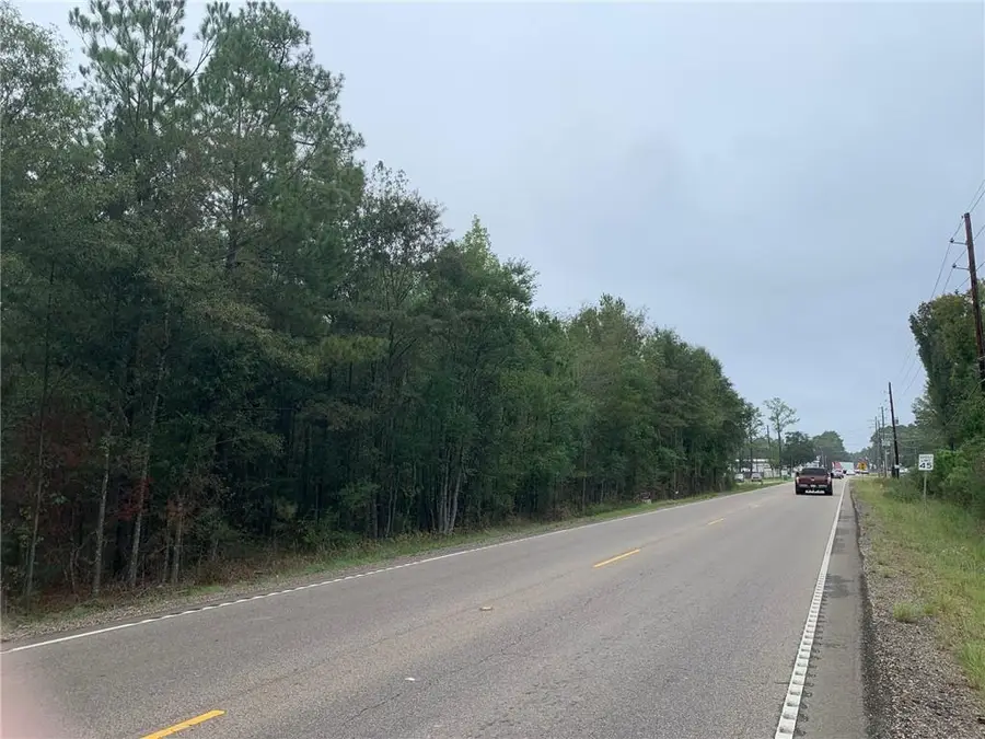 C-1 Highway 445 Highway, Robert, LA 70455 - #3