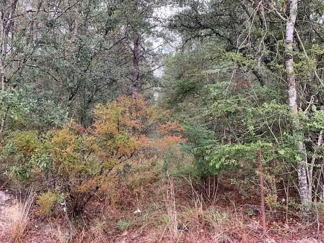 C-3 Highway 445 Highway, Robert, LA 70455 - #2