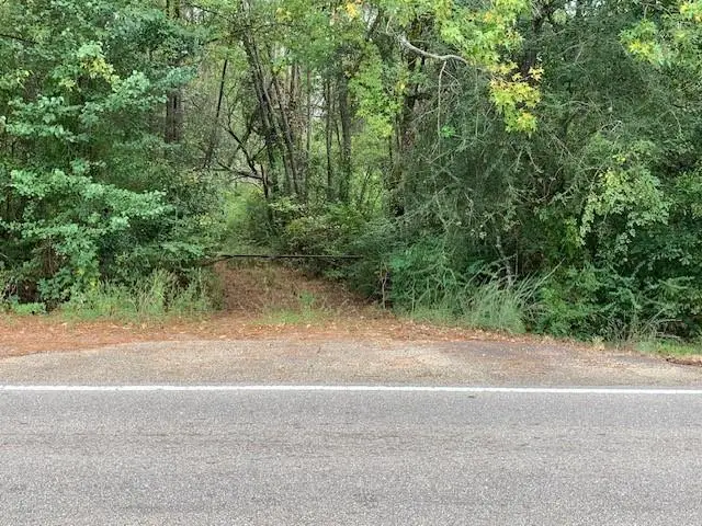 0 Old Covington Hwy 1067 Highway, Hammond, LA 70401 - #3