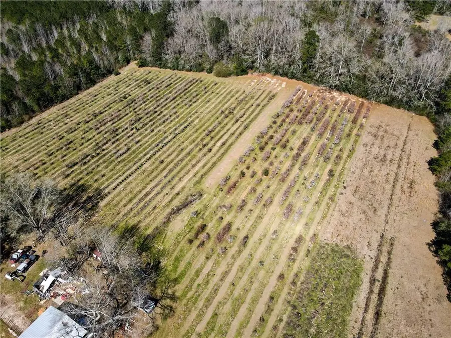 19149 Hodges Road, Franklinton, LA 70438 - #3