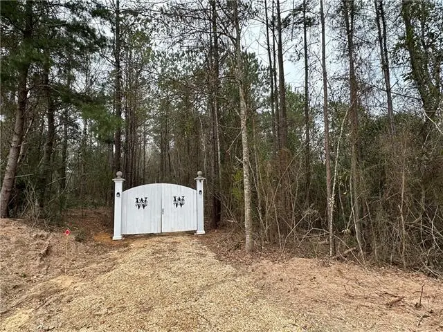 21263 Highway 40 Highway, Bush, LA 70431 - #2