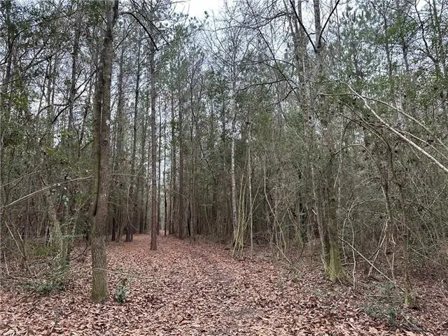 21263 Highway 40 Highway, Bush, LA 70431 - #3