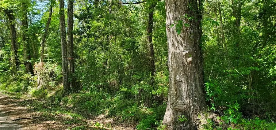 81081 L Crawford Road, Bush, LA 70431 - #3