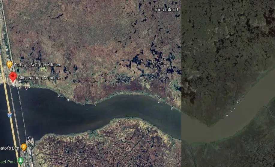 Jones Island Other, Akers, LA 70454 - #1