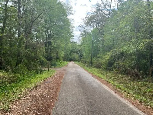 Cusimano Drive, Lacombe, LA 70445 - #2