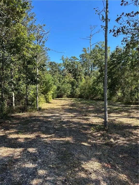 1149 Florida Street, Mandeville, LA 70448 - #2