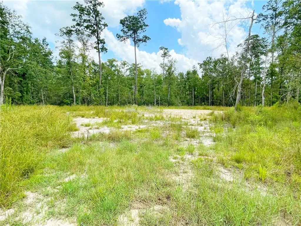 00 Marple Lane, Slidell, LA 70461 - #1