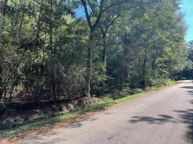 Mcmanus Road, Slidell, LA 70461 - #2