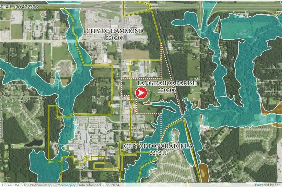 42170 Veterans Avenue, Hammond, LA 70403 - #2
