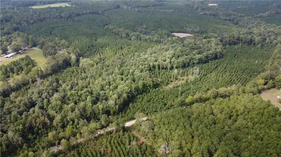 93 Acres Laverne Crain Road, Angie, LA 70426 - #2