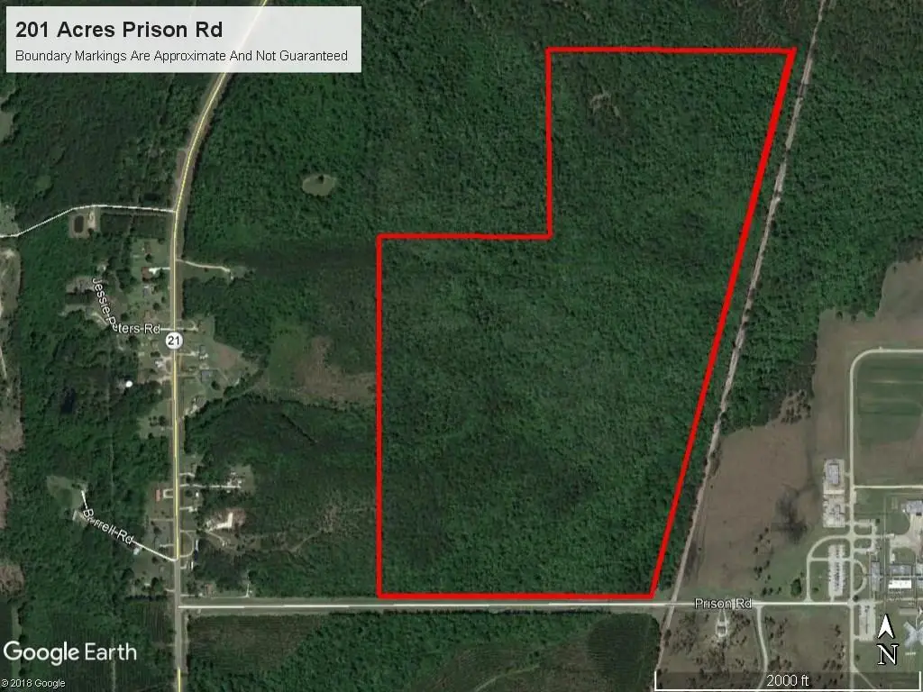 202 Acres Prison Road, Angie, LA 70426 - #1