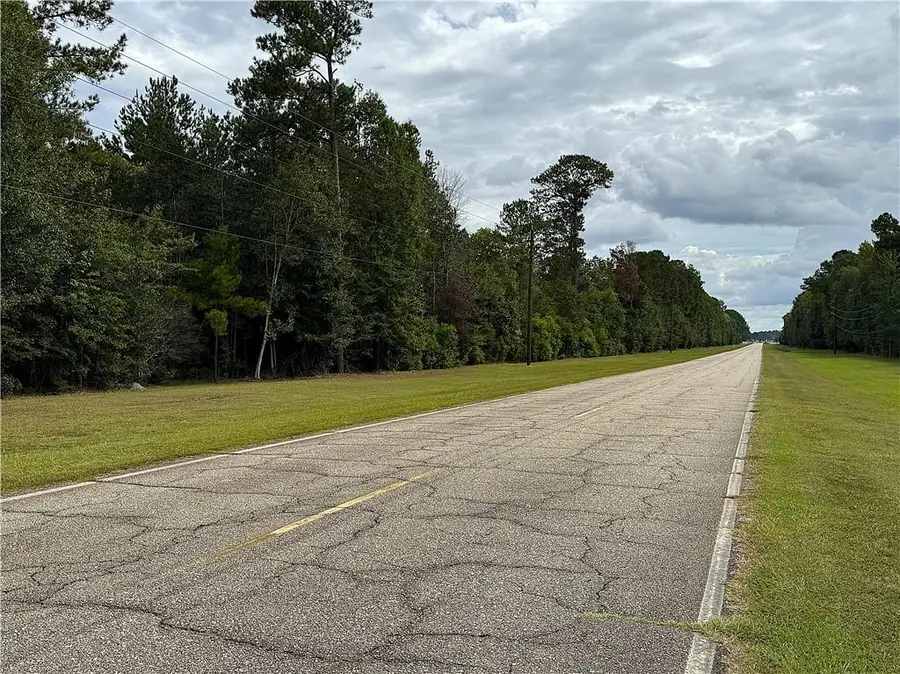 202 Acres Prison Road, Angie, LA 70426 - #3