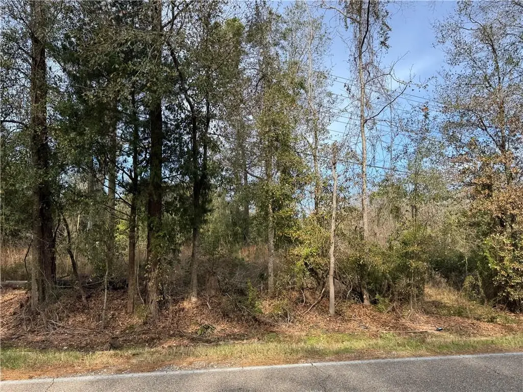 Hwy 36 Highway, Pearl River, LA 70452 - #1