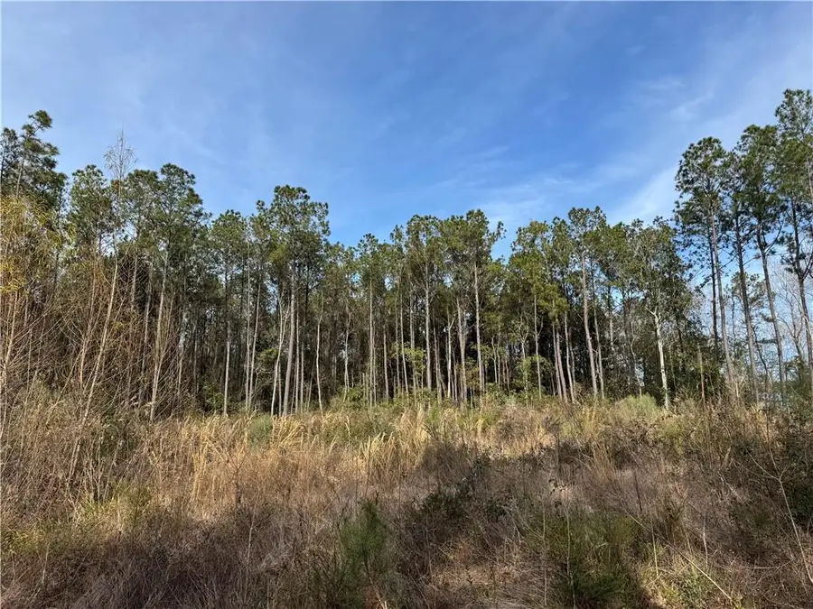 Coci Road, Pearl River, LA 70452 - #3