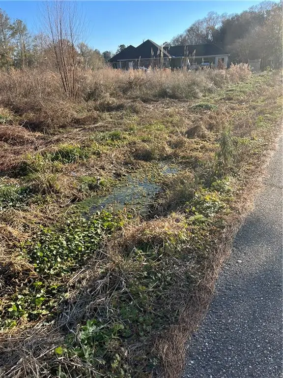 33870 Perkins Crossing Road, Walker, LA 70785 - #2