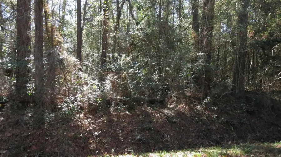 E Main Street, Lacombe, LA 70445 - #2