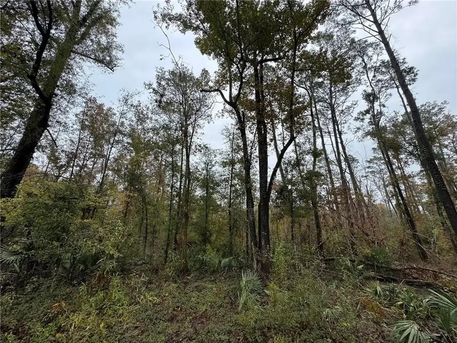 lot 4,6,7 Claiborne Street, Killian, LA 70462 - #2