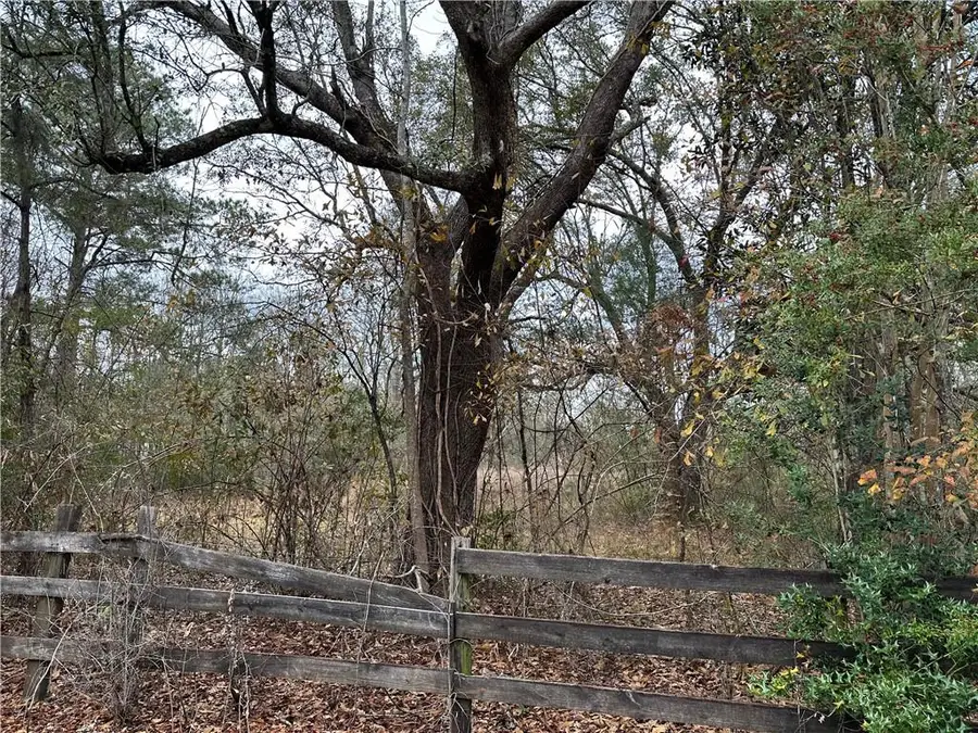 34635 Edgar Kennedy Road, Pearl River, LA 70452 - #3