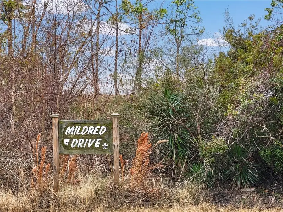 26429 Mildred Drive, Lacombe, LA 70445 - #3