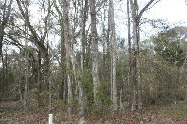 60277 Bryan Road, Slidell, LA 70458 - #2