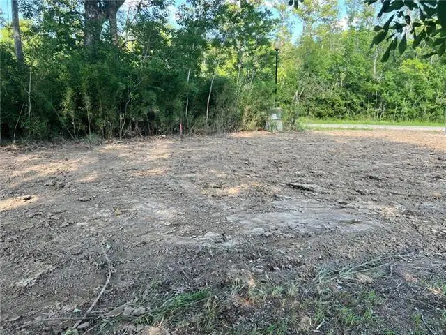 LOT 58 Swamp Drive, Springfield, LA 70462 - #2