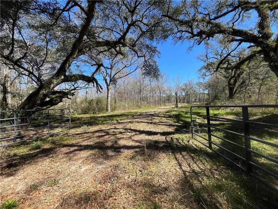 42632 N Thibodeaux Road, Ponchatoula, LA 70454 - #2