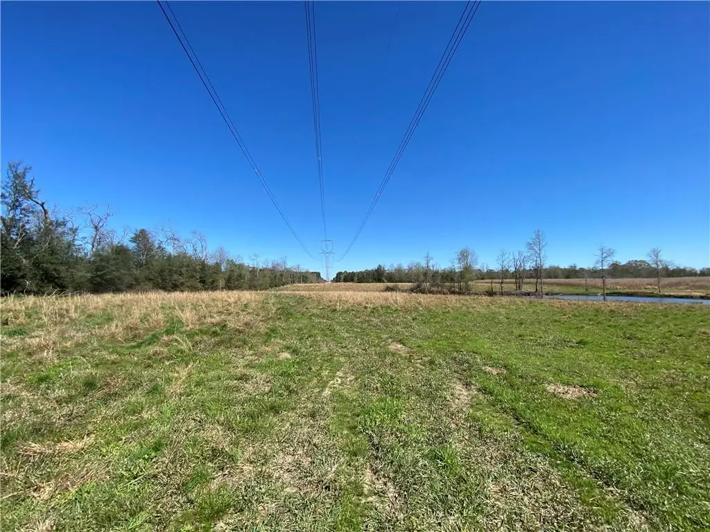 TBD Ruth Holton Road, Amite, LA 70422 - #1