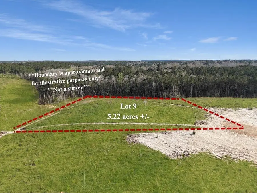 Lot 9 Highway 62, Franklinton, LA 70438 - #2