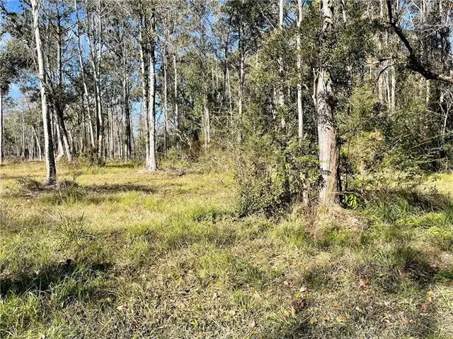 Downey Road, Slidell, LA 70461 - #2