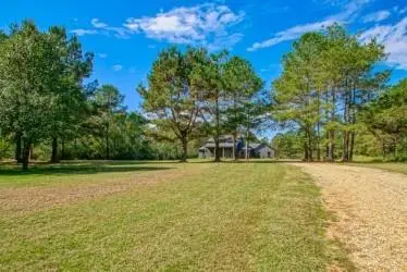 17261 Williams Road, Franklinton, LA 70438 - #2
