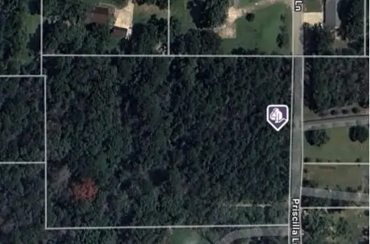 23011 Priscilla Lane, Denham Springs, LA 70726 - #1