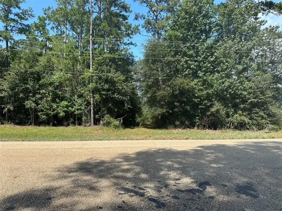 Hwy La Hwy 40, Bush, LA 70431 - #2