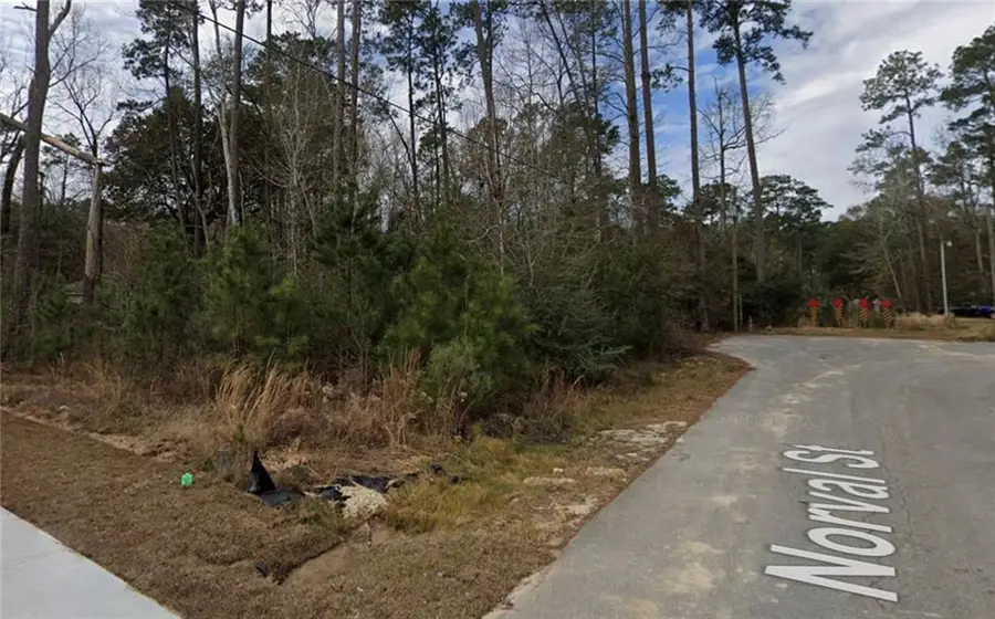 832 N Norval Street, Mandeville, LA 70448 - #2