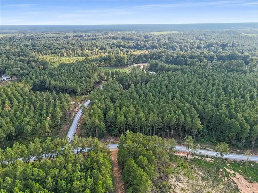 Lot 19 Caro Lane, Franklinton, LA 70438 - #2