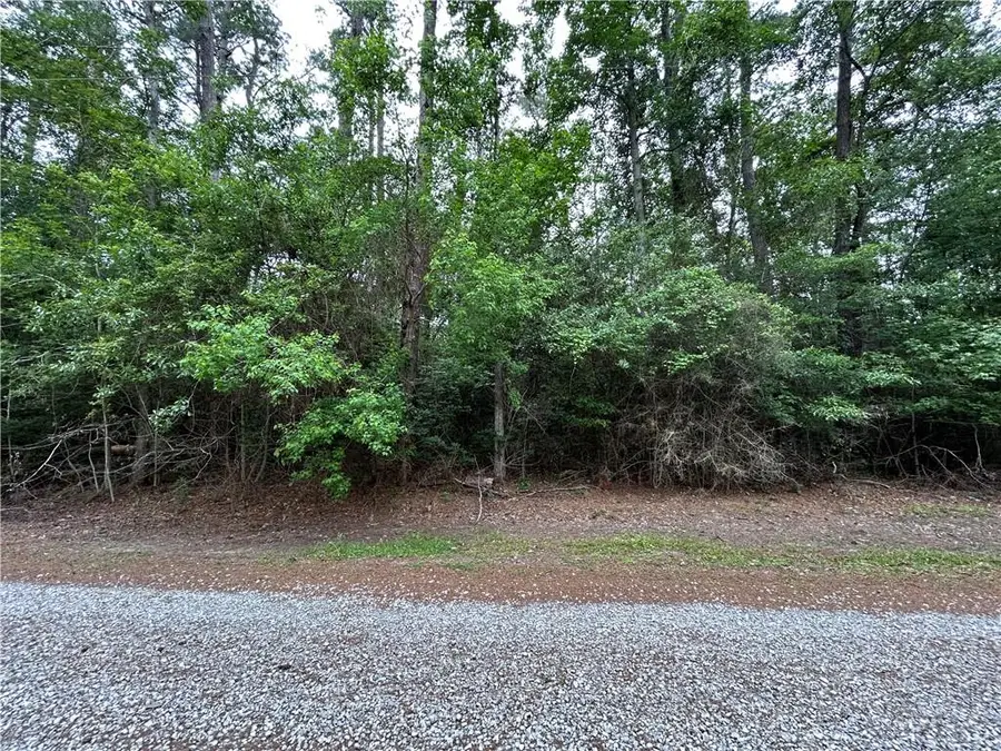 Firetower Road, Mandeville, LA 70471 - #2