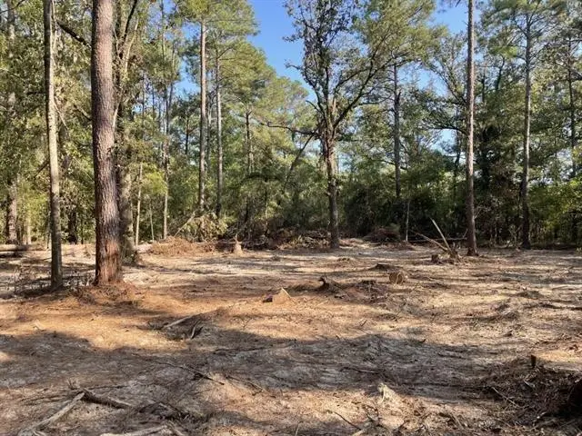 Laurie Drive, Hammond, LA 70403 - #2