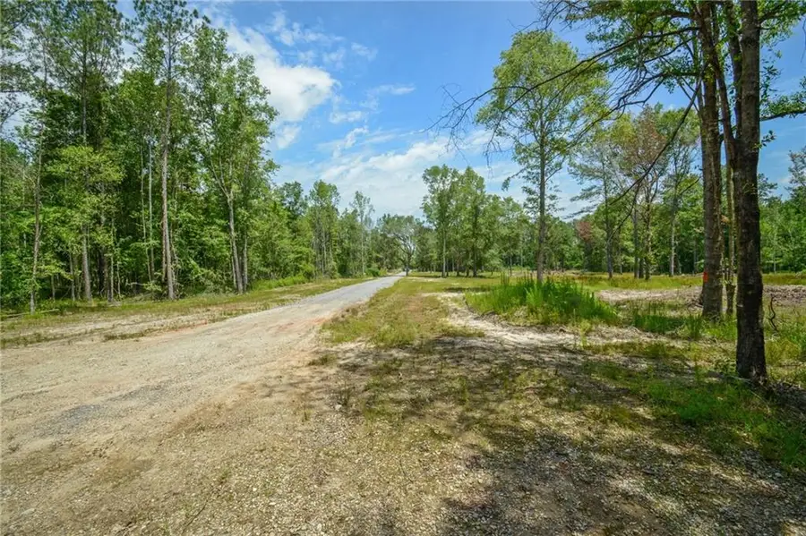 50278 (Lot 6) Allen Drive, Loranger, LA 70446 - #2
